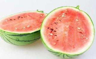 R718sx娱乐吃瓜,揭秘吃瓜群众的狂欢盛宴